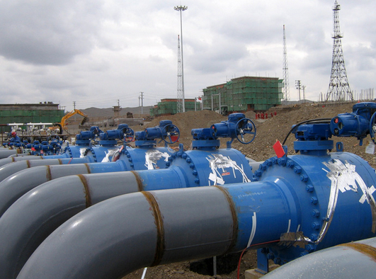 儀表防凍、導(dǎo)壓管防凍(防爆電伴熱)